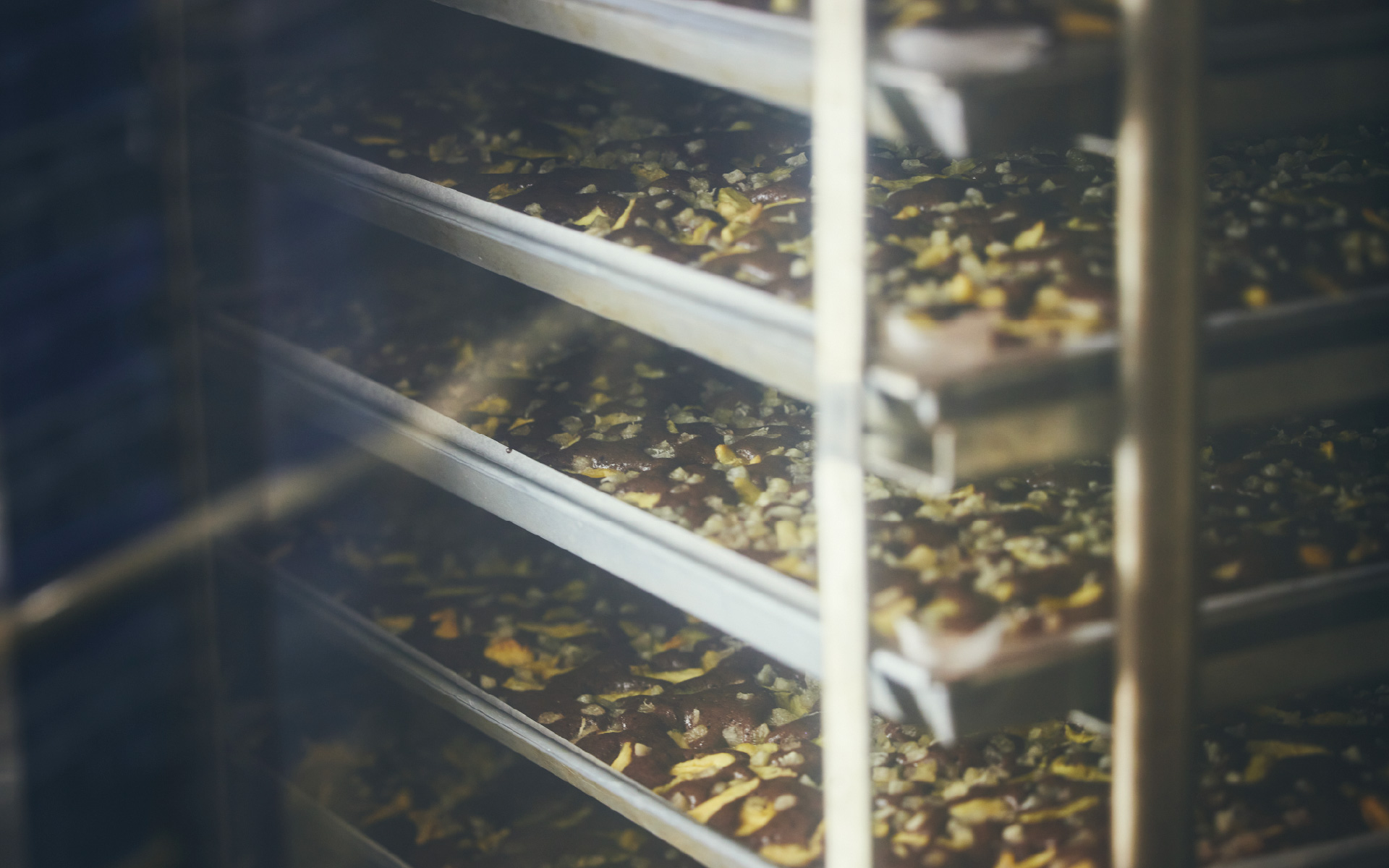 200 TWO HUNDRED CHOCOLATE